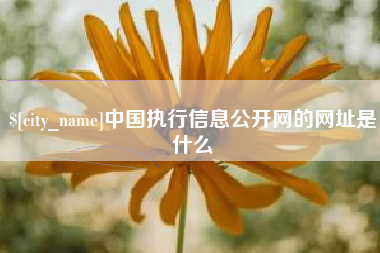 漳浦中国执行信息公开网的网址是什么