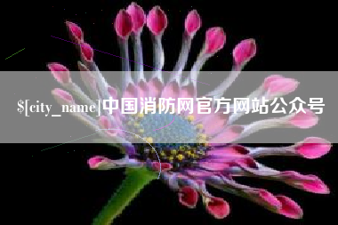 漳浦中国消防网官方网站公众号