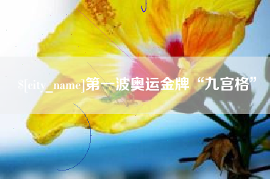 漳浦第一波奥运金牌“九宫格”