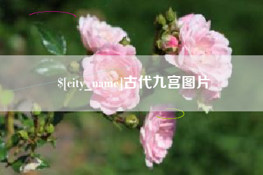 漳浦古代九宫图片