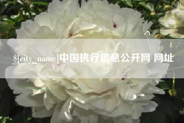漳浦中国执行信息公开网 网址