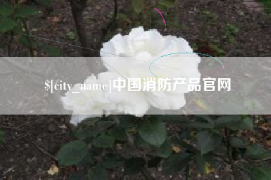漳浦中国消防产品官网