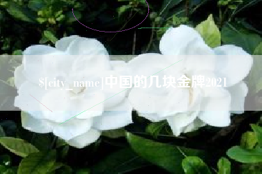 漳浦中国的几块金牌2021