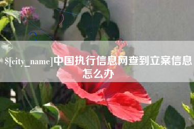 漳浦中国执行信息网查到立案信息怎么办