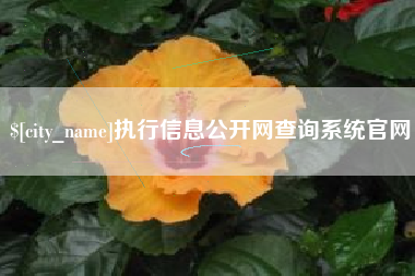 漳浦执行信息公开网查询系统官网