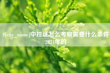 漳浦中控证怎么考取需要什么条件2024年的
