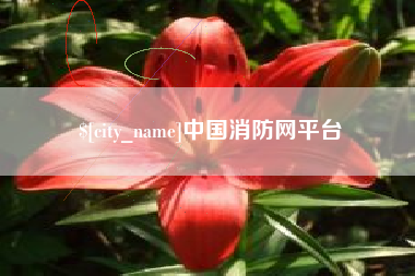 漳浦中国消防网平台