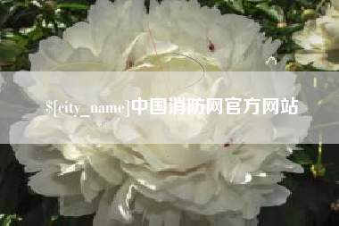 漳浦中国消防网官方网站