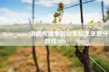 漳浦消防救援学院山东招生录取分数线2020