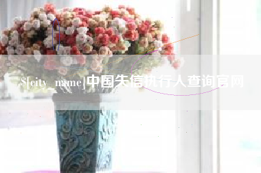 漳浦中国失信执行人查询官网