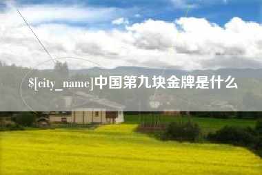 漳浦中国第九块金牌是什么