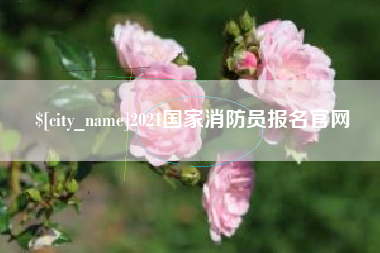 漳浦2021国家消防员报名官网