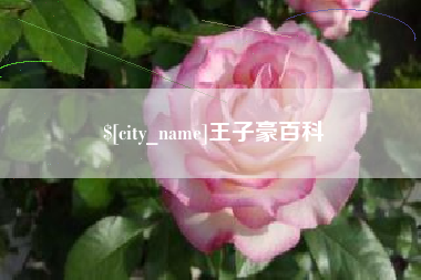 漳浦王子豪百科