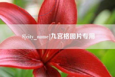 漳浦九宫格图片专用