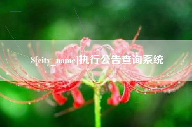 漳浦执行公告查询系统