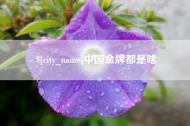 漳浦中国金牌都是啥