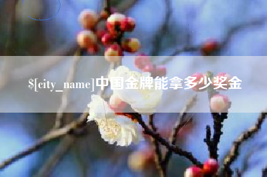 漳浦中国金牌能拿多少奖金