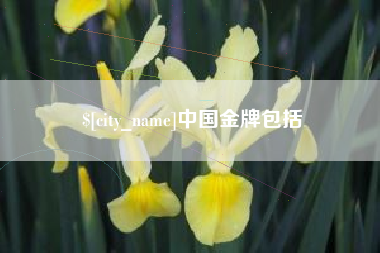 漳浦中国金牌包括