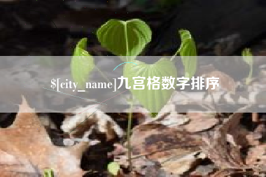 漳浦九宫格数字排序
