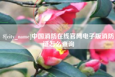 漳浦中国消防在线官网电子版消防证怎么查询
