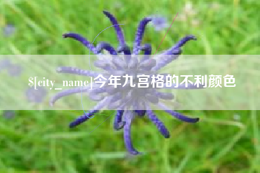 漳浦今年九宫格的不利颜色