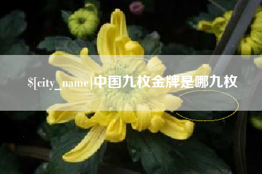 漳浦中国九枚金牌是哪九枚