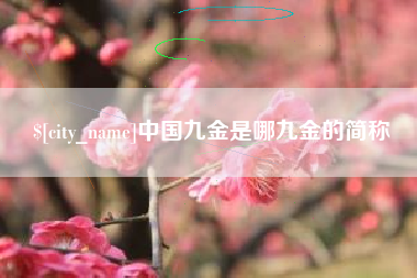 漳浦中国九金是哪九金的简称