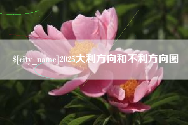 漳浦2025大利方向和不利方向图
