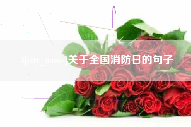 漳浦关于全国消防日的句子