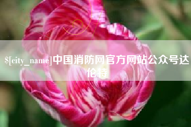 漳浦中国消防网官方网站公众号达伦特