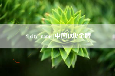 漳浦中国19块金牌