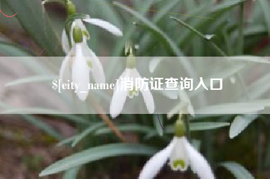 漳浦消防证查询入口