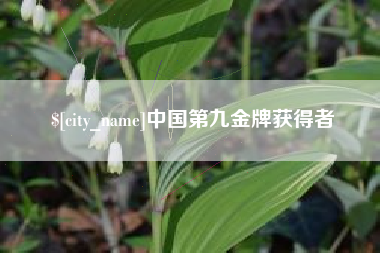 漳浦中国第九金牌获得者