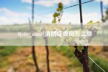 漳浦消防证查询怎么查