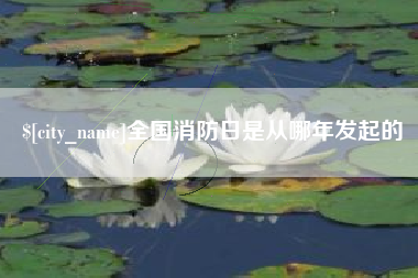 漳浦全国消防日是从哪年发起的