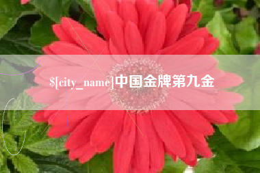 漳浦中国金牌第九金