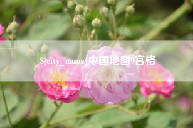 漳浦中国地图9宫格