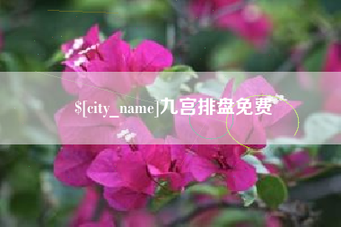 漳浦九宫排盘免费