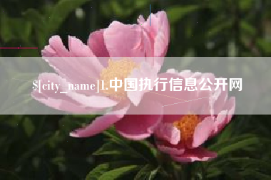漳浦1.中国执行信息公开网
