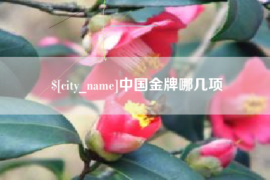 漳浦中国金牌哪几项