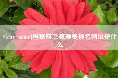 漳浦国家应急救援员报名网址是什么