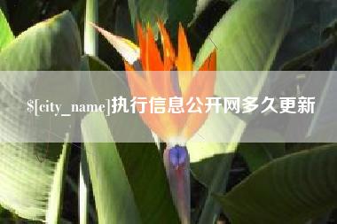 漳浦执行信息公开网多久更新