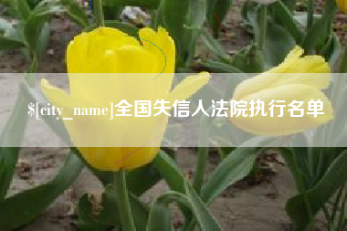 漳浦全国失信人法院执行名单
