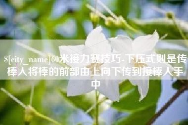 漳浦60米接力赛技巧-下压式则是传棒人将棒的前部由上向下传到接棒人手中