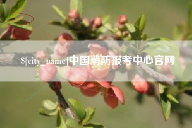 漳浦中国消防报考中心官网