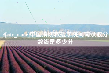 漳浦中国消防救援学院河南录取分数线是多少分