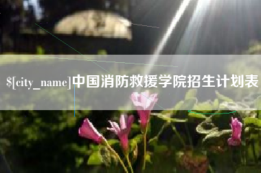 漳浦中国消防救援学院招生计划表