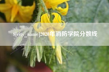 漳浦2020年消防学院分数线