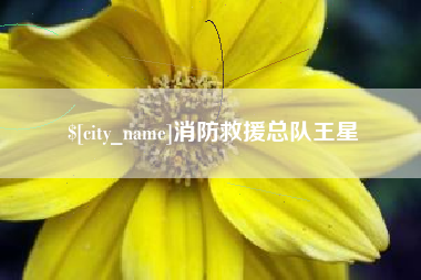 漳浦消防救援总队王星