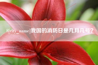 漳浦我国的消防日是几月几号？